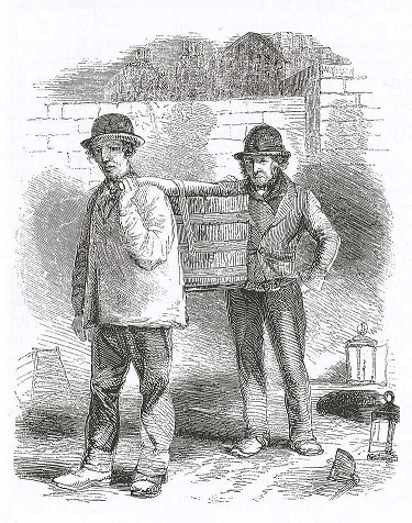 سیستم های سپتیک ویکتوریا