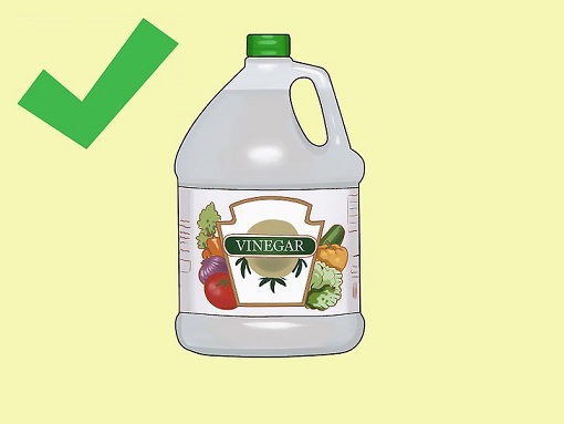 عادات خانگی